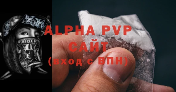 амф Ельня
