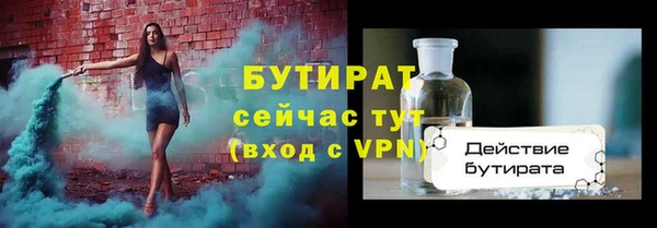 амф Ельня