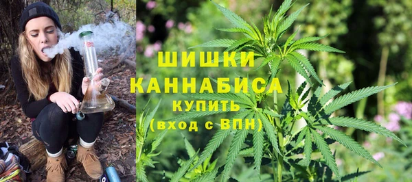 амф Ельня