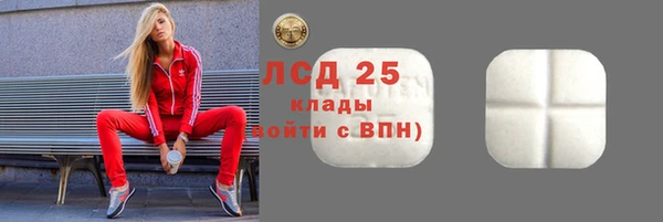 амф Ельня