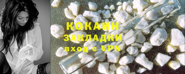 амф Ельня