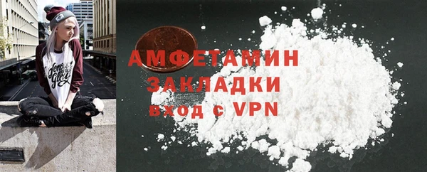 амф Ельня