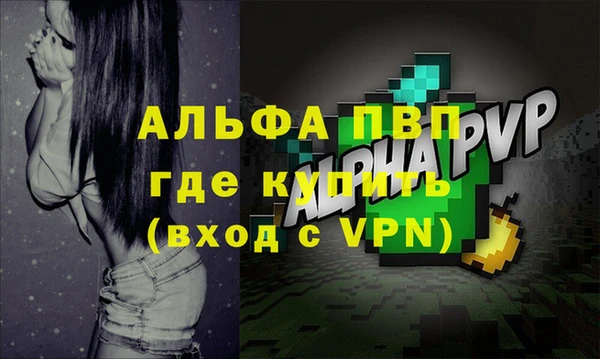 амф Ельня
