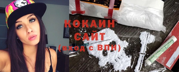 амф Ельня