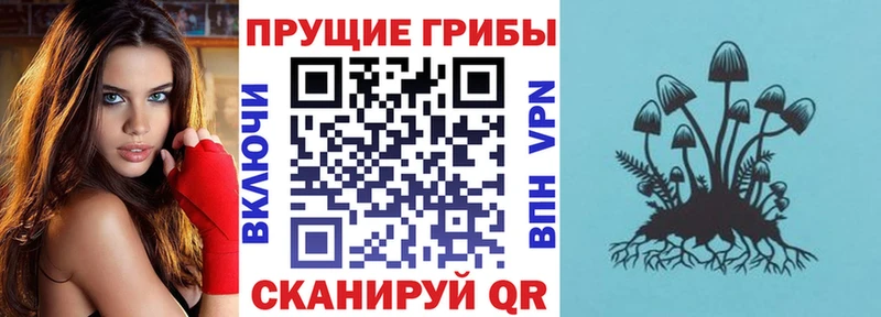 Псилоцибиновые грибы прущие грибы  где купить наркотик  Среднеуральск 