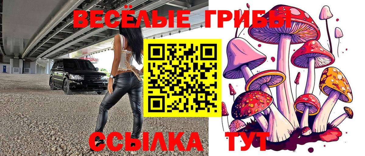 Конопля  Среднеуральск  Гашиш  Купить  Cocaine  Меф   Вход с VPN  Метадон 
